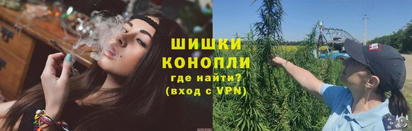хмурый Каменка