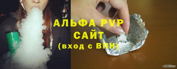 хмурый Каменка