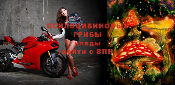 хмурый Каменка