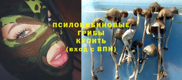 твердый Каменногорск