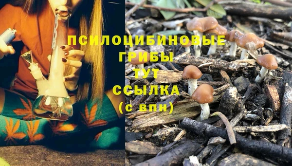 твердый Каменногорск