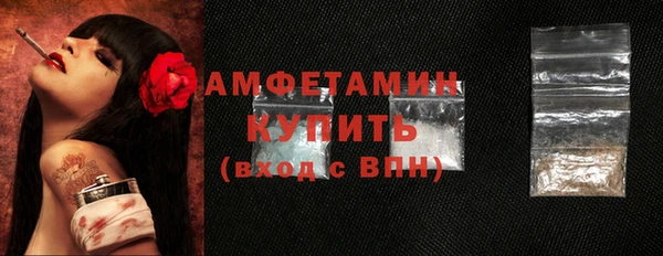 хмурый Каменка