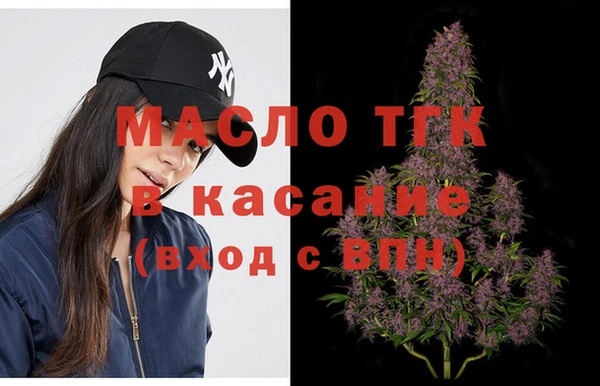 хмурый Каменка